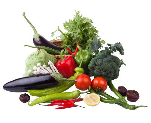 合理膳食,免疫基石 錦州醫科大學附屬第一醫院臨床營養師李晶晶為您講解