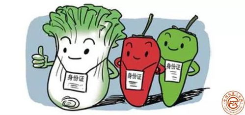 福建省食品安全信息追溯管理辦法 3月1日實施,這些內容要注意......